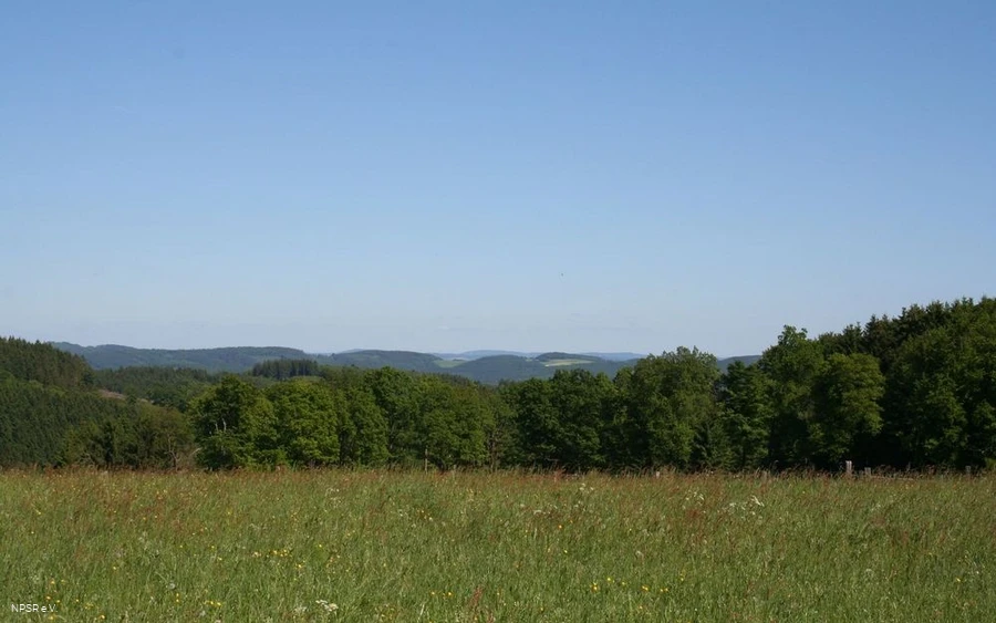 Panorama am Wanderparkplatz