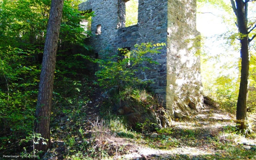 Burgruine Schwarzenberg