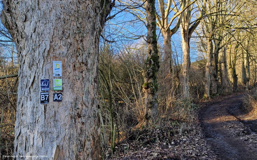 Wegezeichen BestwegNuttlar KW Waldroute
