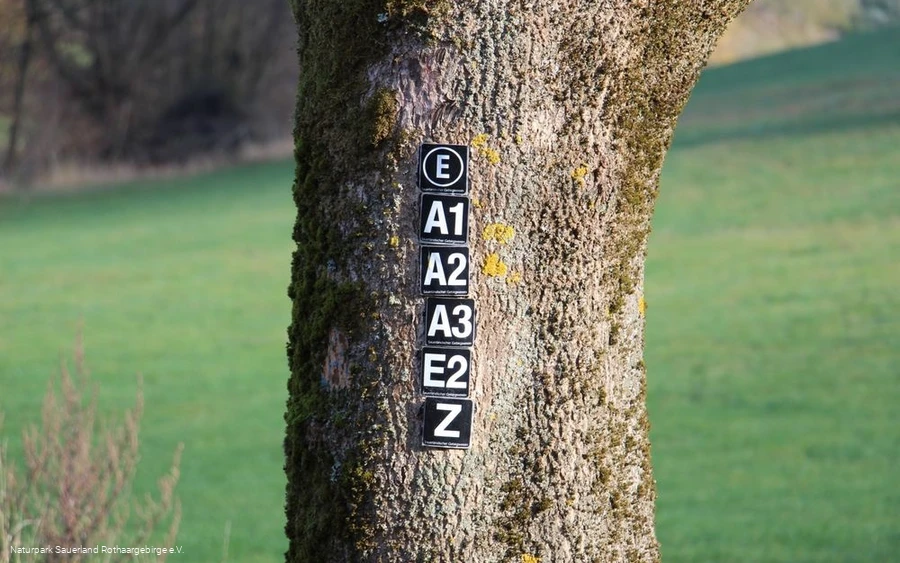 Viele Wanderwege führen am Wanderparkplatz entlang