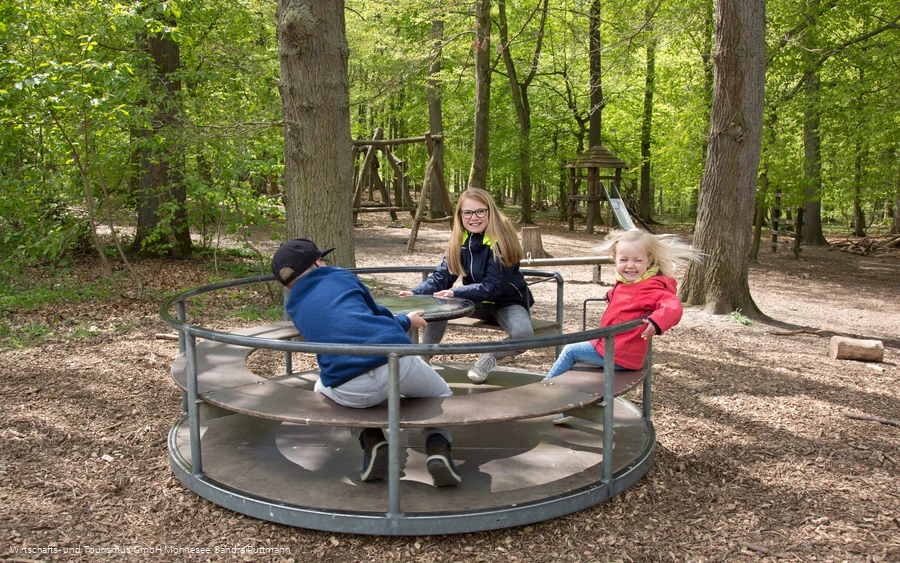 Waldspielplatz Günne Kreisel