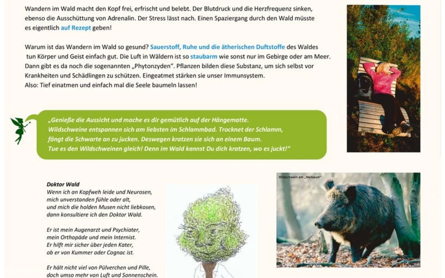 Infotafel Station 7 Waldfeenpfad Infotafel Station 7 Waldfeenpfad