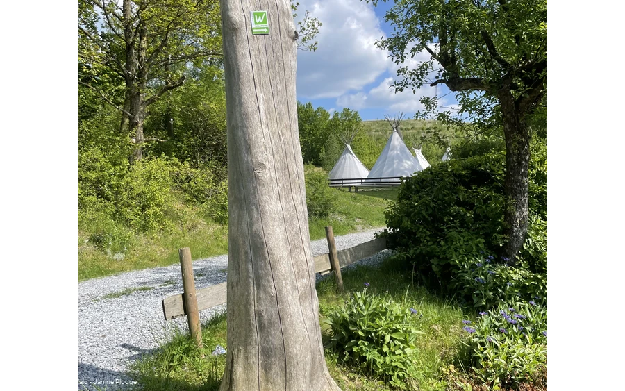 Tipizelte an der Sauerland-Waldroute