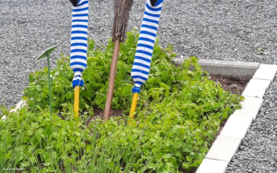 Heilpflanzengarten (Hexe)