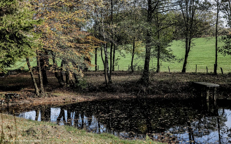Verträumt wirkender Teich am Wegesrand