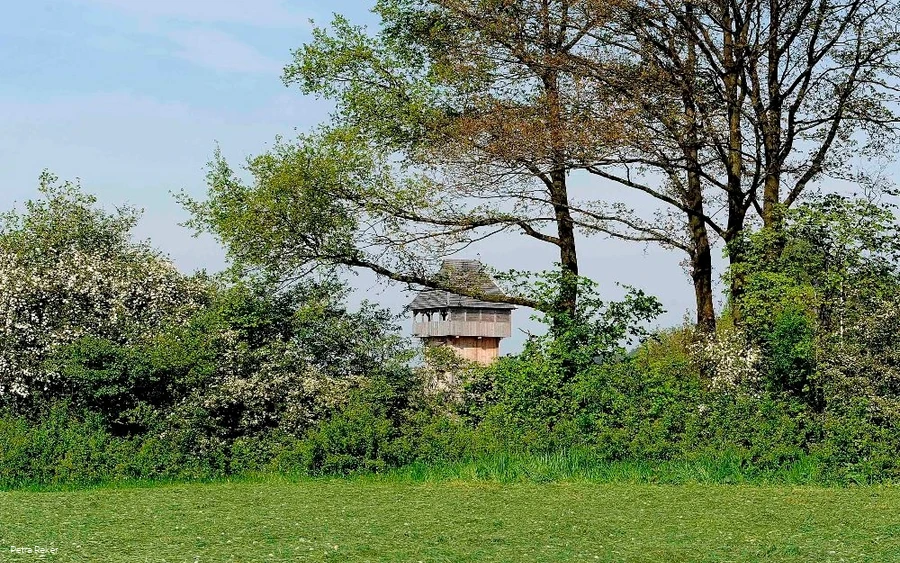 Motte in Neuenrade-Küntrop Motte in Neuenrade-Küntrop