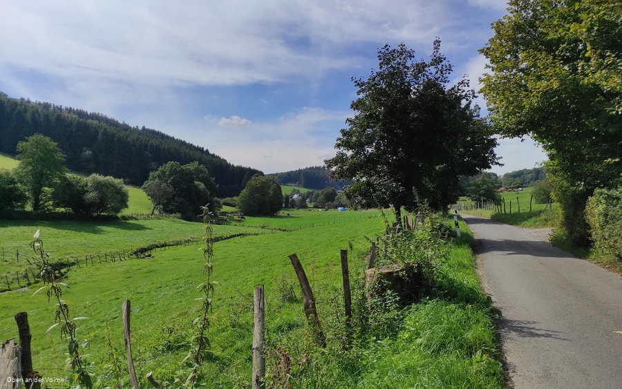 Entlang der kleinen Straße hinein ins Schlechtenbachtal