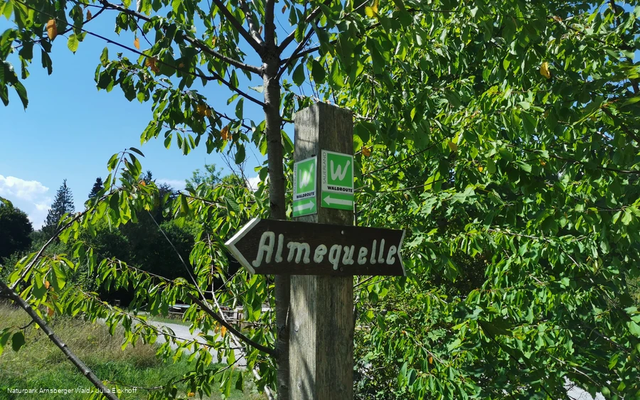 Wegweiser Brilon Almequellen - Sauerland-Waldroute