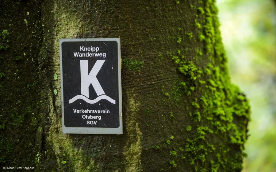 KPK974539.jpg kappest