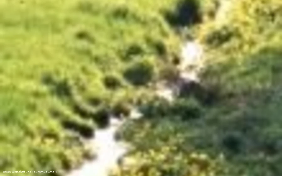 Bachschwinden Bachschwinden