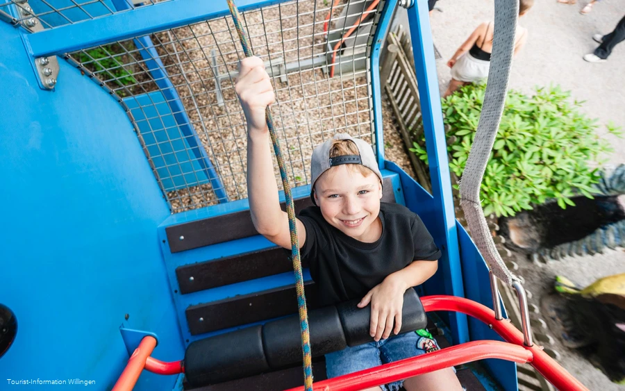 Schaukel im Wild- und Freizeitpark Willingen