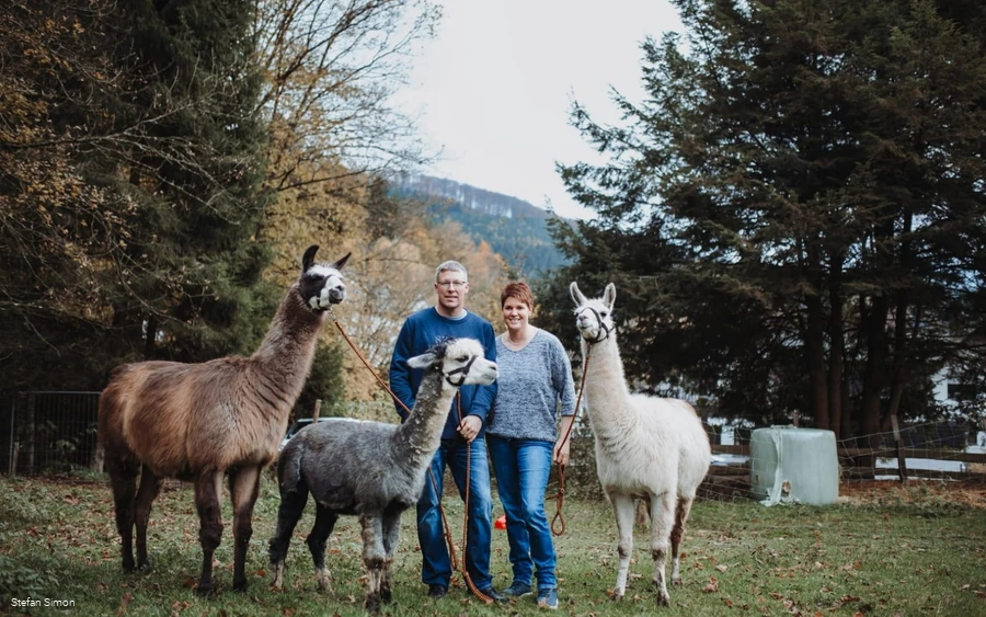 Alpaka Trekking