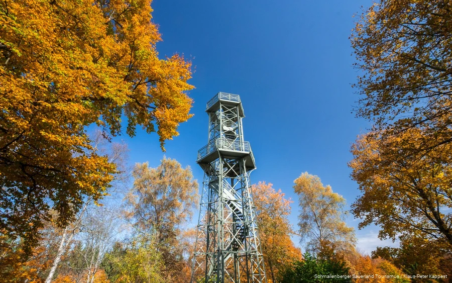 View of the Wilzenberg tower.