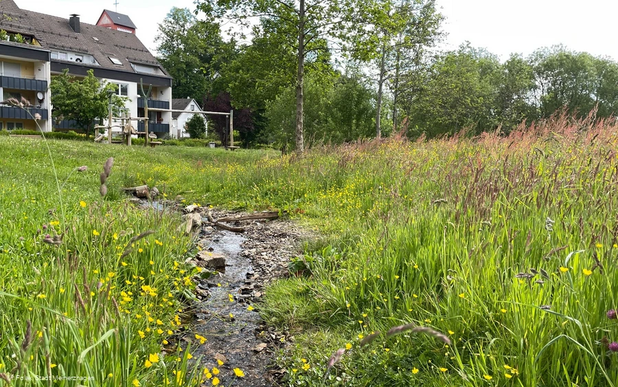 Spielplatz Ihnewiesen