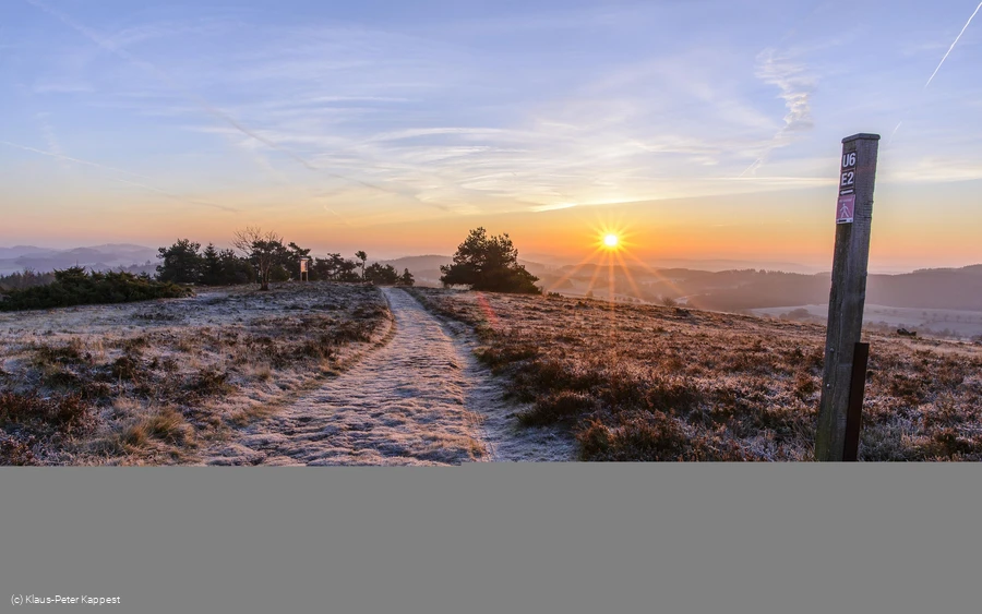 Raureif am Osterkopf bei Sonnenaufgang
