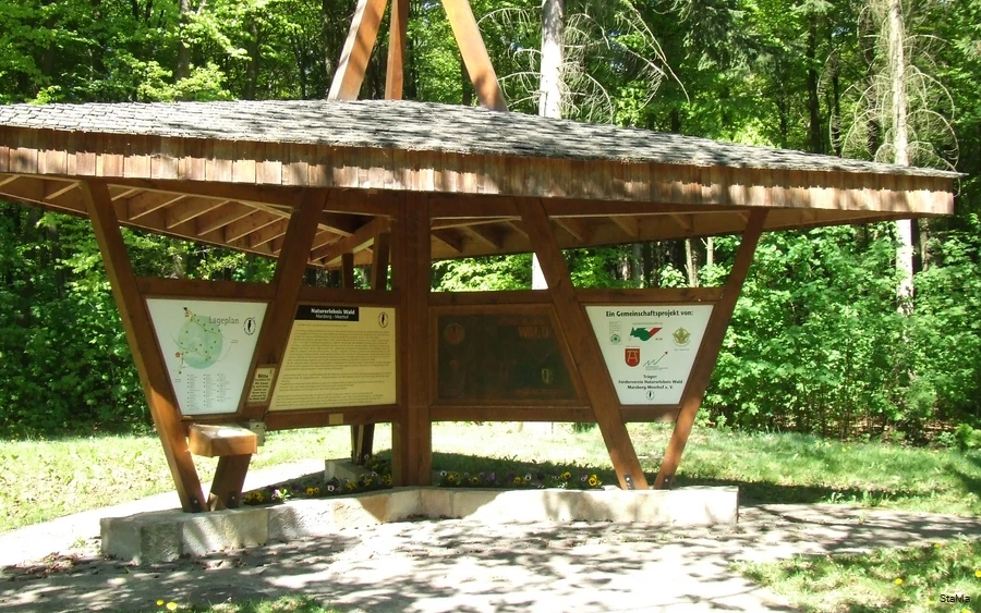 Natuurbelevenis bos Meerhof