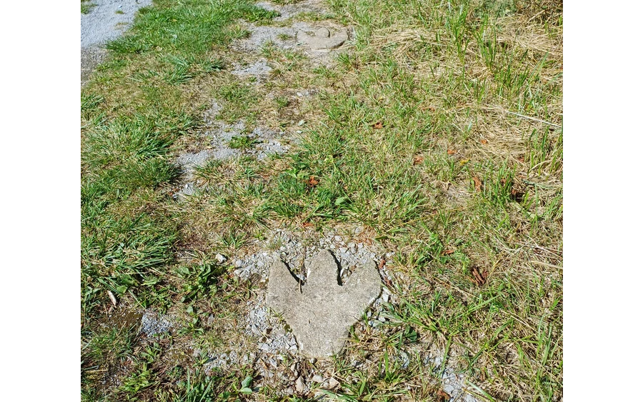 20240912_120111.jpg 20240912_120111.jpg