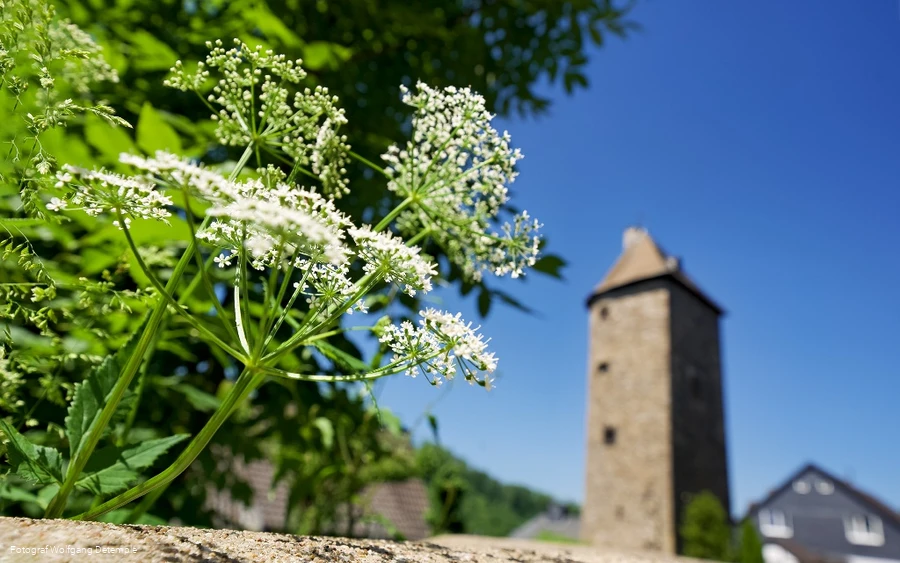 Limpsturm