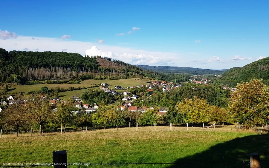 Blick auf Beringhausen (Marsberg, Sauerland)