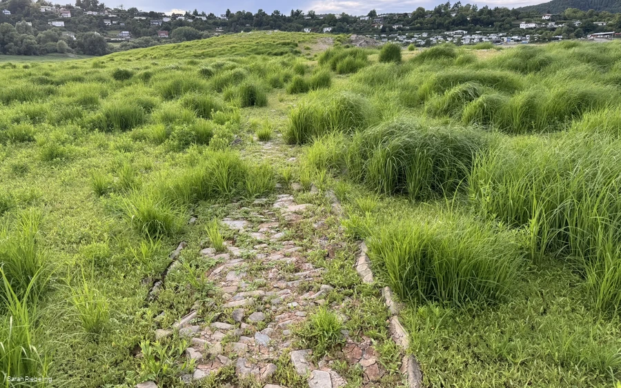 Alter Weg Alt-Bringhausen