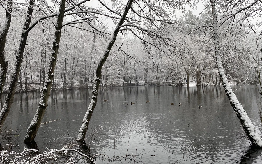 Hexenteich im Winter