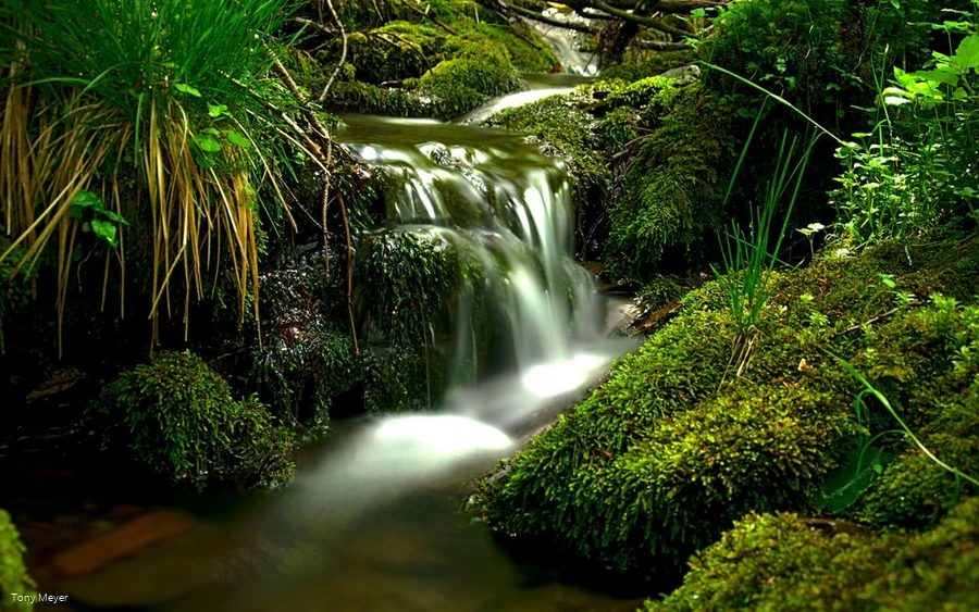 Naturschutzgebiet Bommecketal Naturschutzgebiet Bommecketal