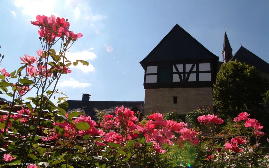Rosendorf