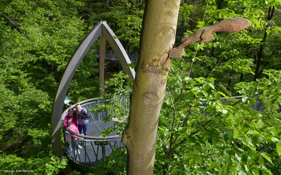 Auf dem Baumkronenweg Edersee