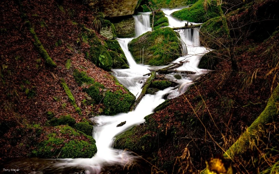 Naturschutzgebiet Bommecketal