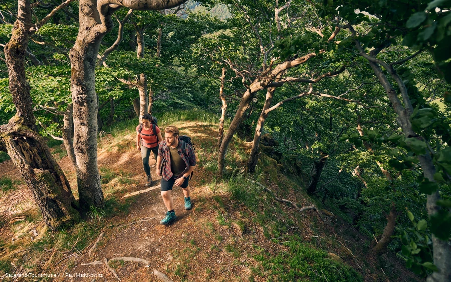 Winterberger Hochtour3.png