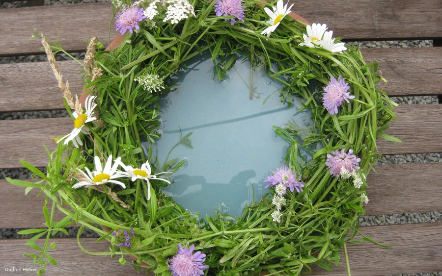 Frühsommerspaziergang Gudrun (002).JPG