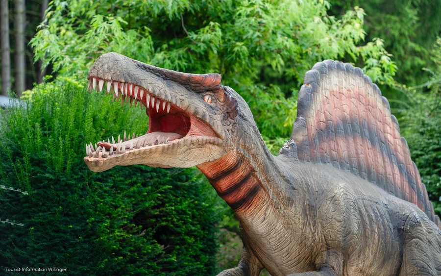 Dinosaurier im Wild- und Freizeitpark Willingen Dinosaurier im Wild- und Freizeitpark Willingen