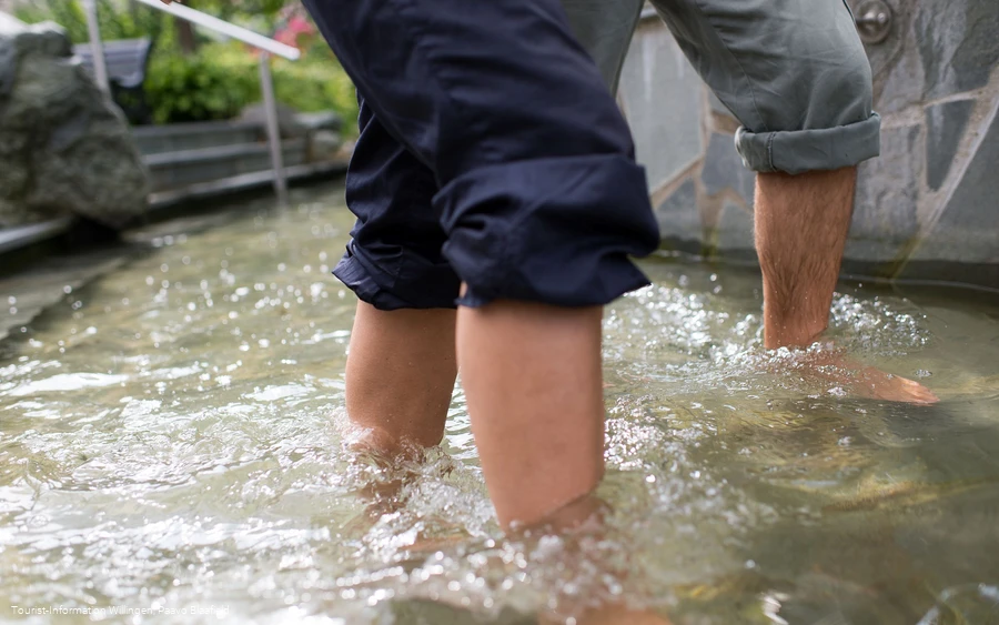 Wassertreten.jpg