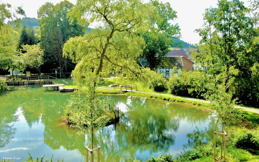 org_1a7419ea95e1406a_1631619094000 (1).jpeg