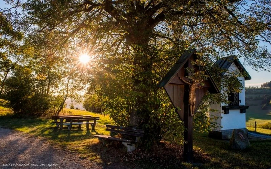 Die Lausebuche Die Lausebuche