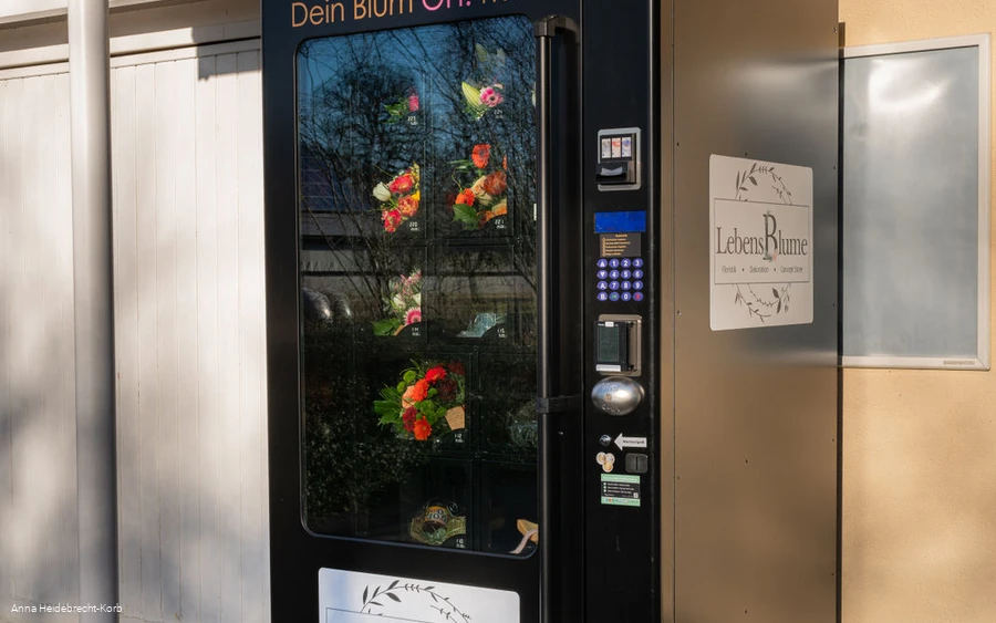 BlumOhmat-01.jpg BlumOhmat-01.jpg