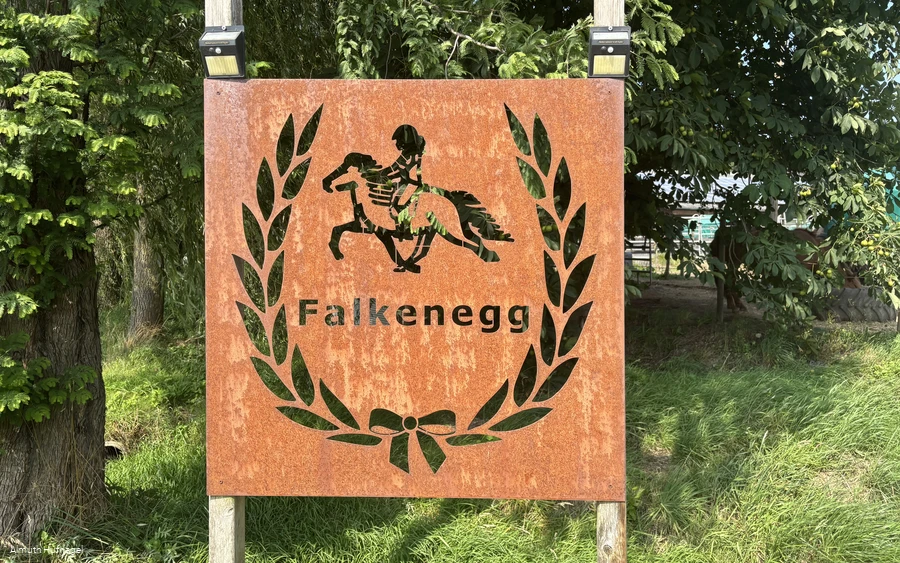 Falkenegg_Logo