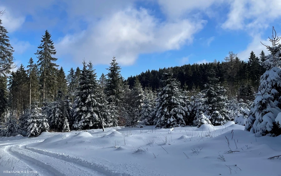 Wilke-Mühle, verschneiter Weg.jpg