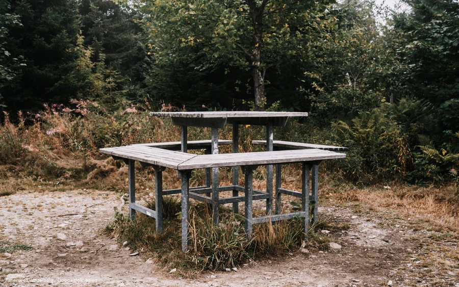 Eine Sitzgelegenheit mit einem Tisch und einer durchgehenden Bank rundherum auf einer Wiese mit Wald im Hintergrund.