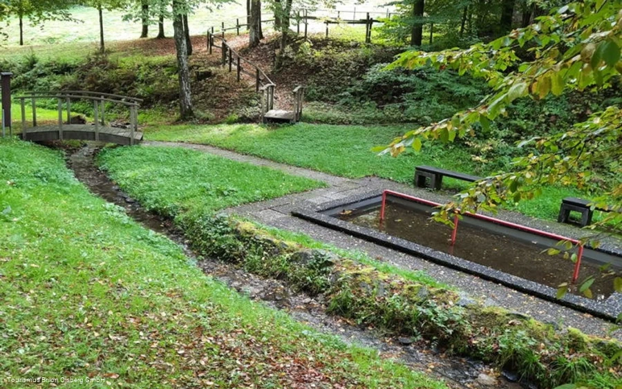 Tretbecken Wulmeringhausen