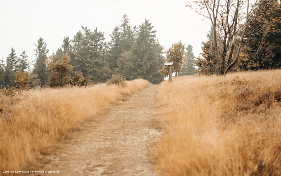 Wanderweg Hochheide