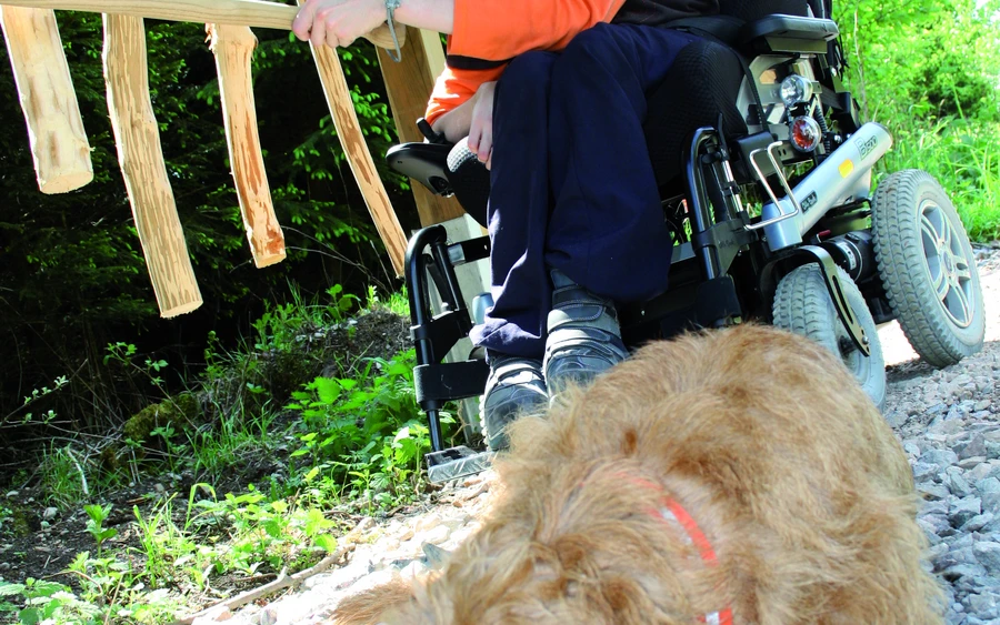 IMG_4631.tif