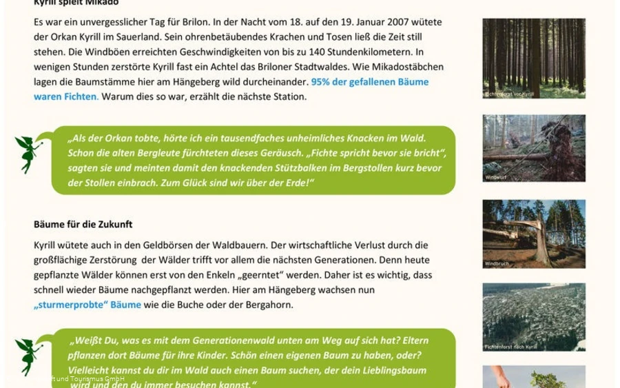 Infotafel Station 1 Waldfeenpfad