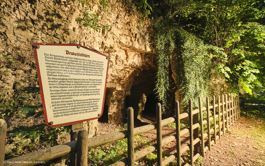 Obermarsberg Wald