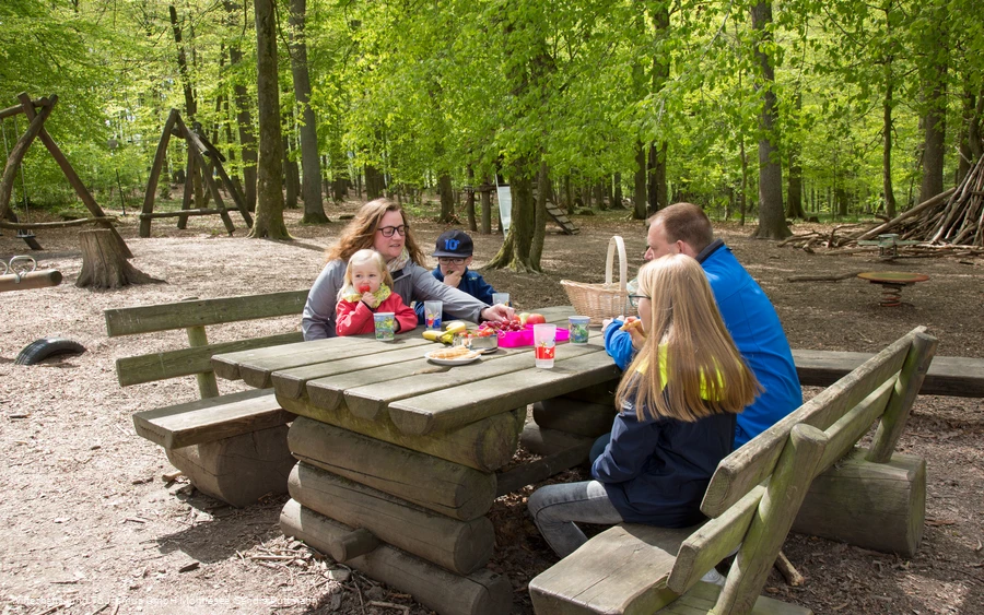 Waldspielplatz Günne Picknick