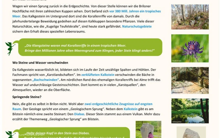 Infotafel Station 4 Waldfeenpfad