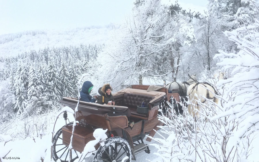 Een prachtige winterse koetsrit in het besneeuwde Sauerland.
