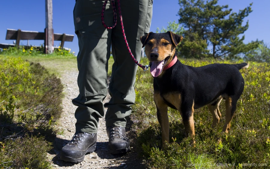 Hund mit Ranger 3 Ein Hund ist mit einem Ranger unterwegs