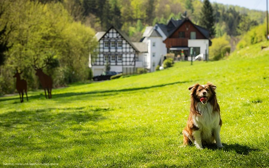 Hotel und Gasthof Hubertushöhe Hotel und Gasthof Hubertushöhe