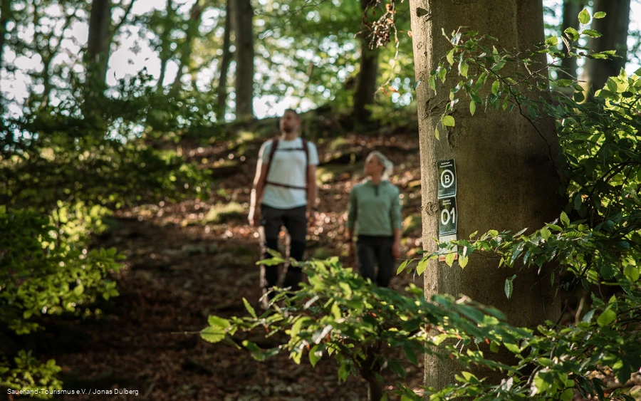 Bestwig Panorama Trail 4.png